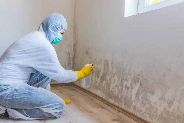 Hvac And Air Duct Mold Remediation inspection of HVAC system in Boon